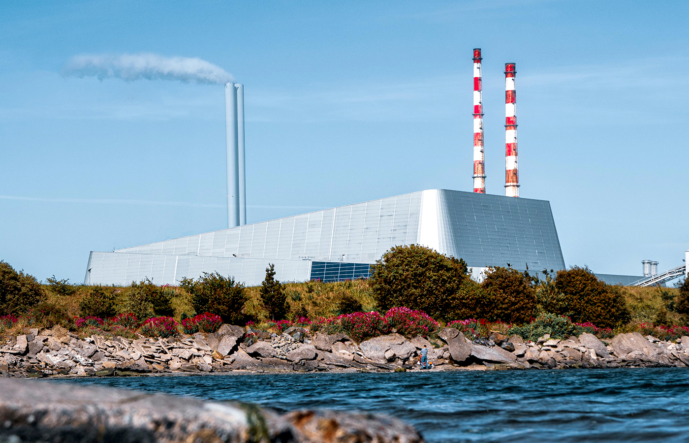 Biomass facility India